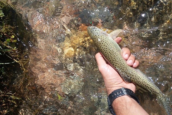 Private Andean Fly-Fishing Day from Mendoza: Uco Valley Rivers and Asado photo 2
