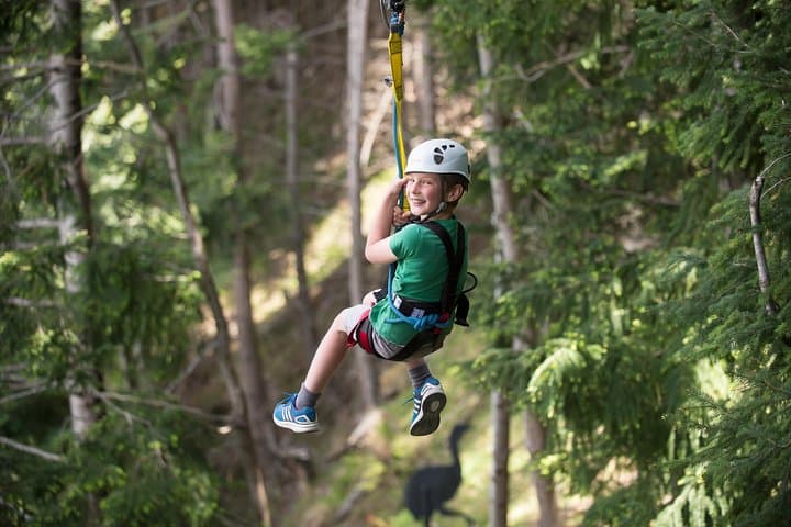 Ziptrek Queenstown: Skyline Gondola Zipline Adventure over Lake Wakatipu photo 3