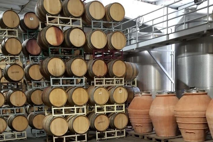 Sonoma Coast Cheese, Honey, Oysters & Wine Private Tour from San Francisco photo 4