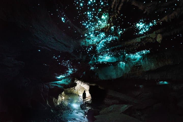 Private Waitomo Glowworm Cave Tour — Intimate Underground Glowworm Experience photo 4