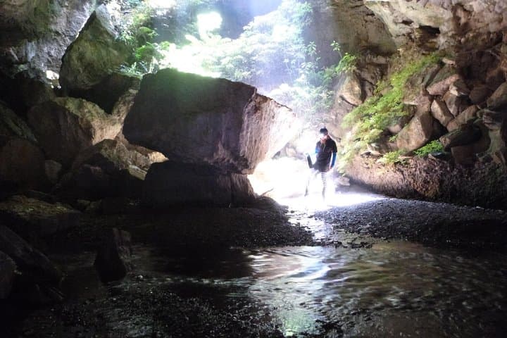 Private Photography Tour in Waitomo Caves — Capture Glowworm Light photo 5
