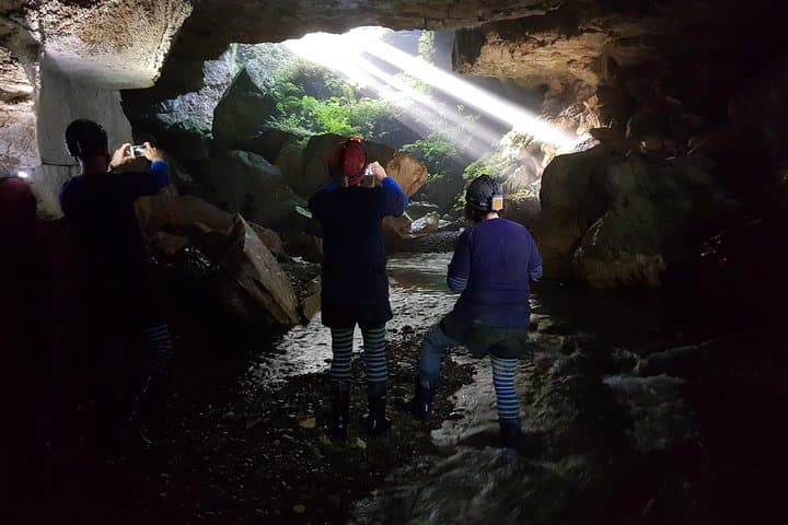 Private Waitomo Glowworm Cave Tour — Intimate Underground Glowworm Experience photo 3