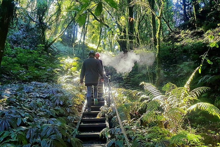 Waitomo Hidden Caving Tour — Small-Group Glowworm Adventure in Private Caves photo 5