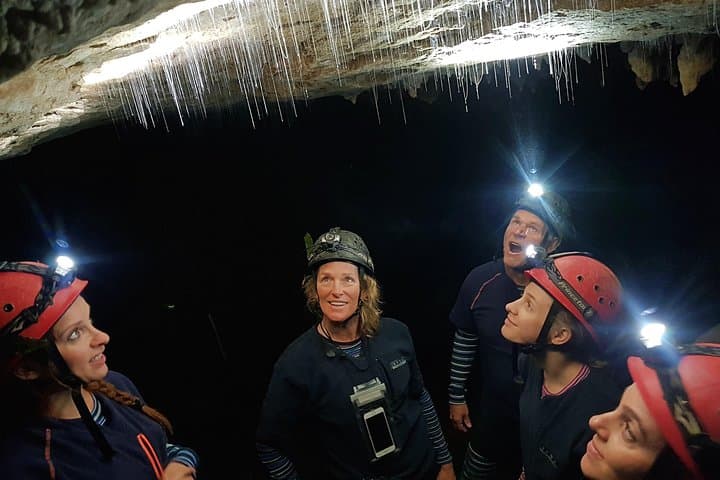 Private Waitomo Glowworm Cave Tour — Intimate Underground Glowworm Experience photo 5