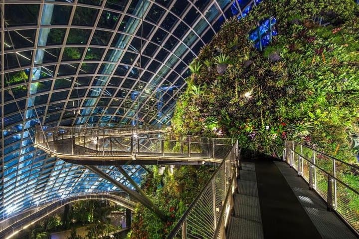 Gardens by the Bay: A Practical Guide to Singapore’s Iconic Conservatories photo 3