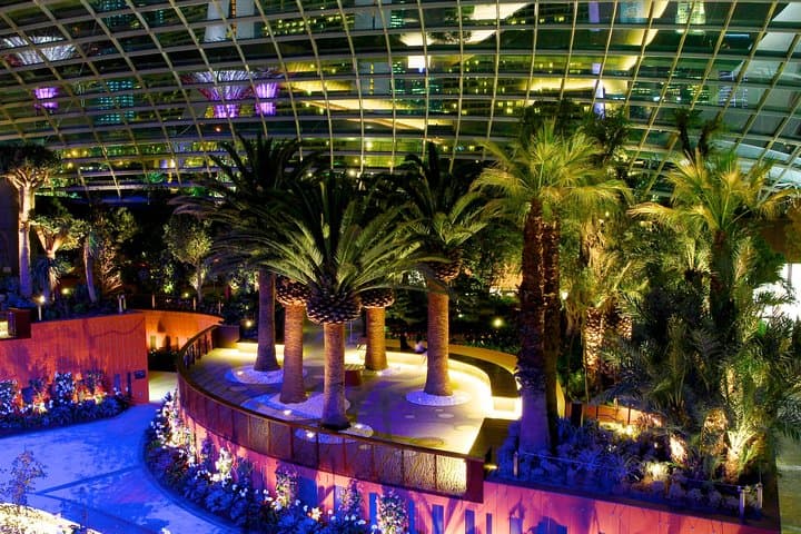 Gardens by the Bay: A Practical Guide to Singapore’s Iconic Conservatories photo 4
