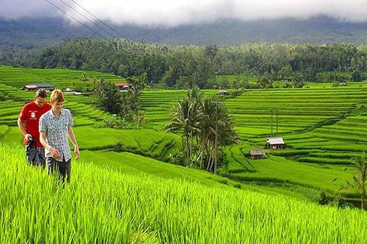 Customizable Bali Private Van Tours — 10-Seater Luxury Minibus photo 3