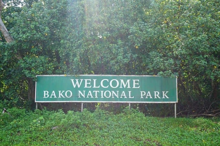 Bako National Park: Jungle Trails, Sea Stacks & Proboscis Monkeys Near Kuching photo 5