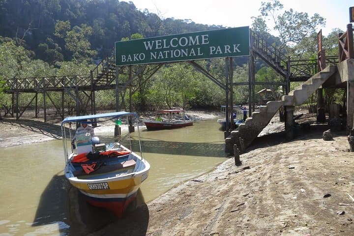 Bako National Park: Jungle Trails, Sea Stacks & Proboscis Monkeys Near Kuching photo 6