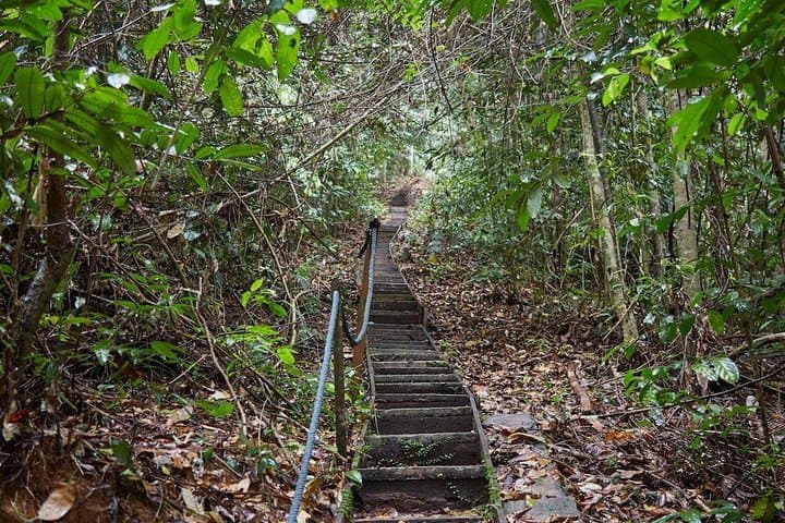 Gunung Gading National Park Rafflesia Hike from Kuching photo 3
