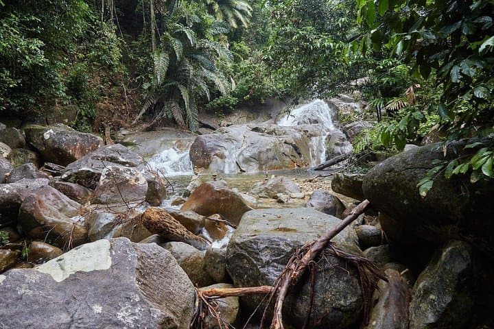 Gunung Gading National Park Rafflesia Hike from Kuching photo 4