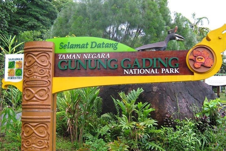 Gunung Gading National Park Rafflesia Hike from Kuching photo 2