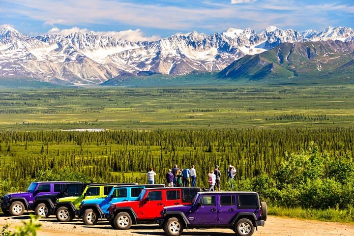 Denali Highway Jeep Excursion — 4x4 Scenic Drive from Denali National Park photo 5