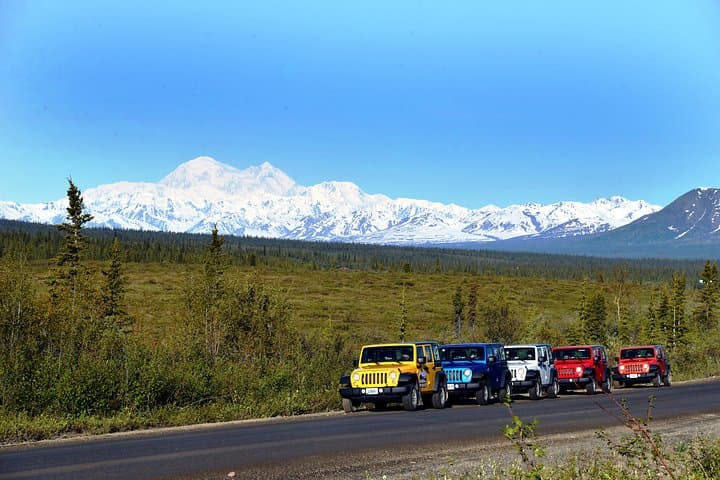 Denali Highway Jeep Excursion — 4x4 Scenic Drive from Denali National Park photo 6