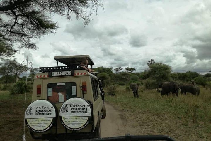 3-Day Budget Safari: Tarangire, Ngorongoro Crater & Lake Manyara photo 1
