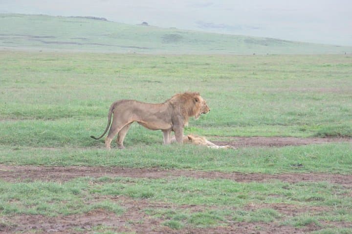 3-Day Budget Safari: Tarangire, Ngorongoro Crater & Lake Manyara photo 2