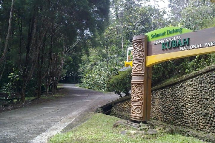 Kubah Night Walk: After-Dusk Frog-Listening & Waterfall Trails Near Kuching photo 2