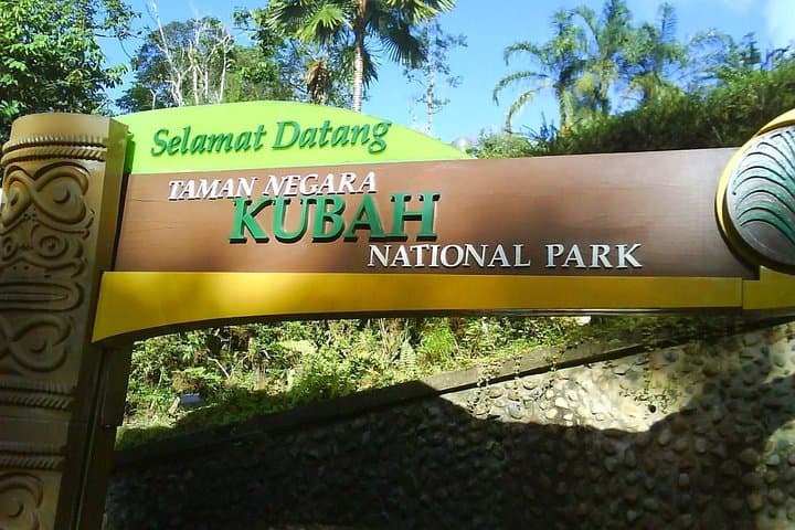 Kubah Night Walk: After-Dusk Frog-Listening & Waterfall Trails Near Kuching photo 1