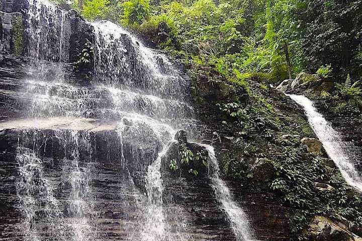 Kubah Night Walk: After-Dusk Frog-Listening & Waterfall Trails Near Kuching photo 3