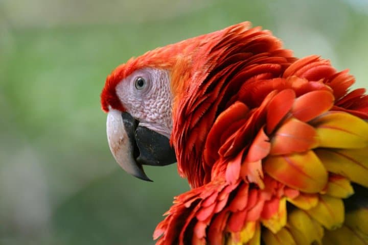 Costa Rica 15-Day Self-Drive: Beaches, Rainforests & Tortuguero from Liberia photo 6