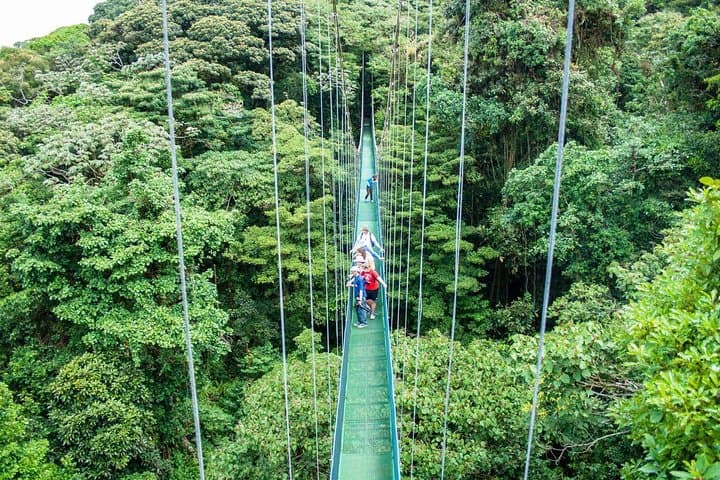 Sky Tram & Hanging Bridges: Monteverde Cloud Forest Day Trip from San José photo 2