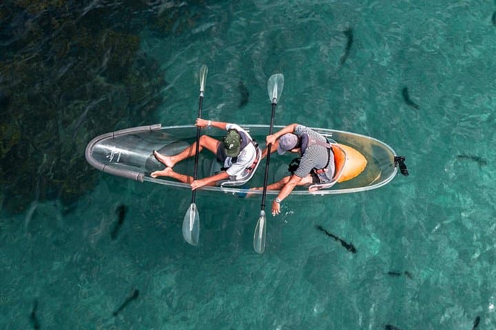 Clearyak Hire at Goat Island Marine Reserve – Clear Canoe Tours in Leigh, New Zealand