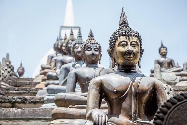 Hamilton Canal Boat Ride and Colombo City Tour from Negombo photo 3