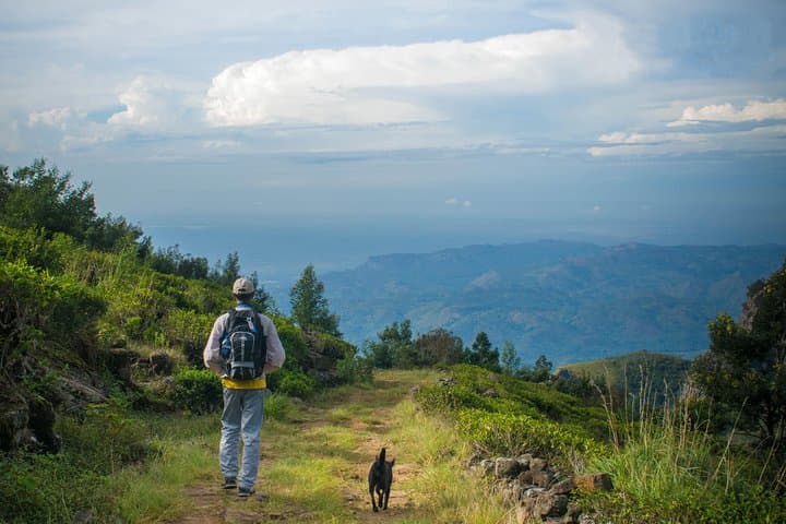 Devil's Staircase Trek to Bambarakanda Falls — Ella Day Hike with Lunch