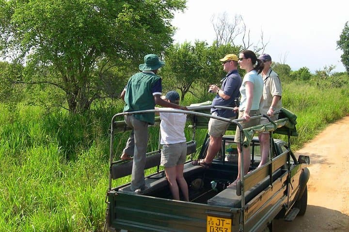 Udawalawe National Park Half‑Day Game Drive — Elephant Safari Near the Reservoir