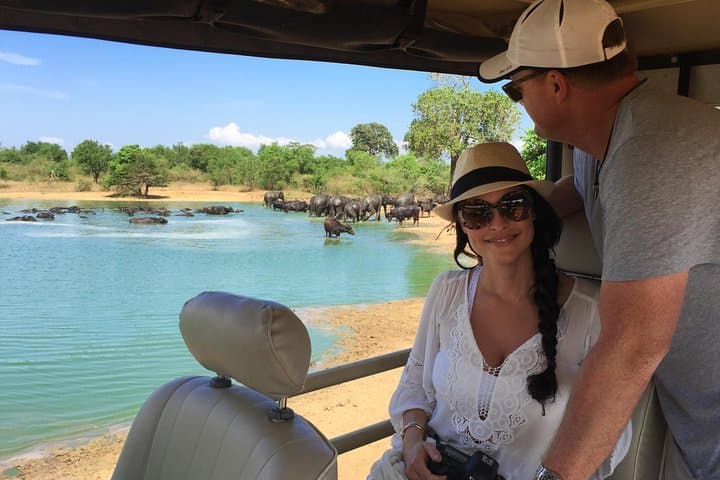 Udawalawe National Park Half‑Day Game Drive — Elephant Safari Near the Reservoir photo 2