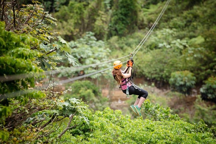 Toro Verde Zipline Adventure: 7 Lines + The Monster in Orocovis, Puerto Rico photo 4