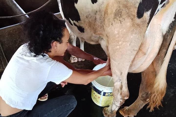 Farm-to-Table Cooking Day: Be a Farmer and Master Chef in Saigon photo 5