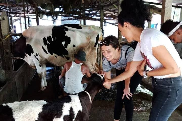 Ho Chi Minh City Farm Day and Healthy Vietnamese Cooking Class photo 3