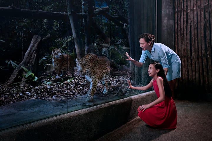 Skip-the-Line Night Safari with Buffet Dinner in Singapore photo 6