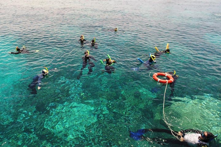 Luxury Outer Great Barrier Reef Snorkel & Michaelmas Cay Day Cruise from Cairns photo 2