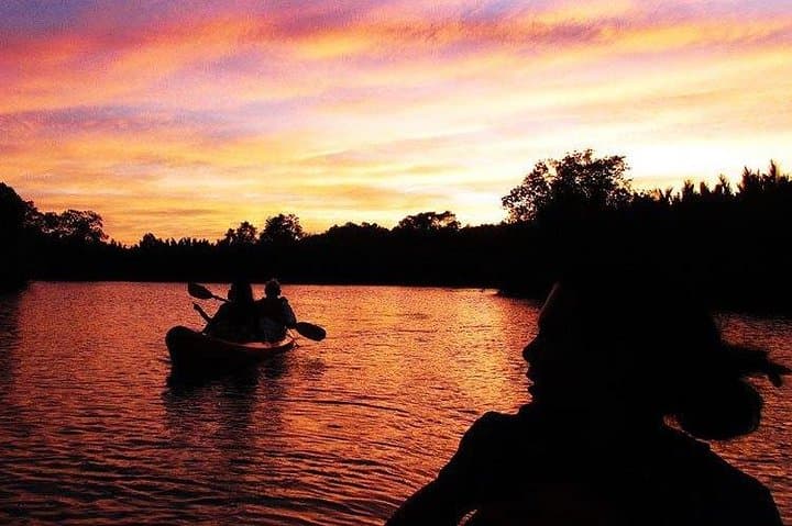 Firefly Kayaking in Bohol: Night Mangrove Paddle with Community Dinner photo 2
