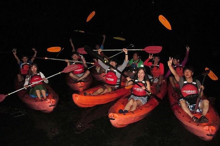 Firefly Kayaking in Bohol: Night Mangrove Paddle with Community Dinner photo 3