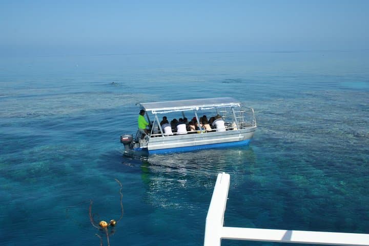 Luxury Outer Great Barrier Reef Snorkel & Michaelmas Cay Day Cruise from Cairns photo 4