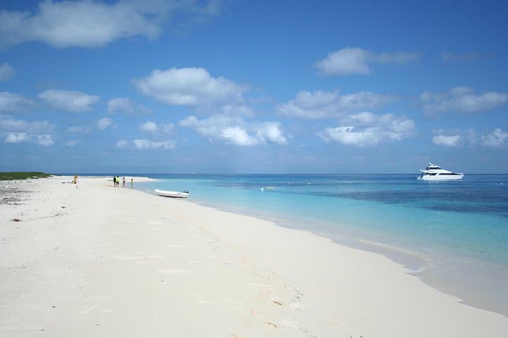 Luxury Outer Great Barrier Reef Snorkel & Michaelmas Cay Day Cruise from Cairns photo 6