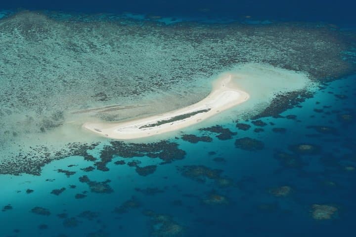 Luxury Outer Great Barrier Reef Snorkel & Michaelmas Cay Day Cruise from Cairns photo 5