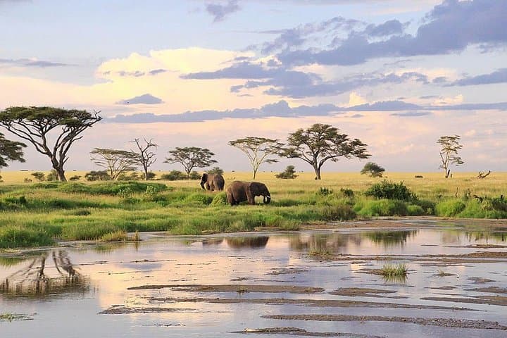 3-Day Masai Mara Safari: Big Five, Wildebeest Migration & Budget Tented Camping photo 6