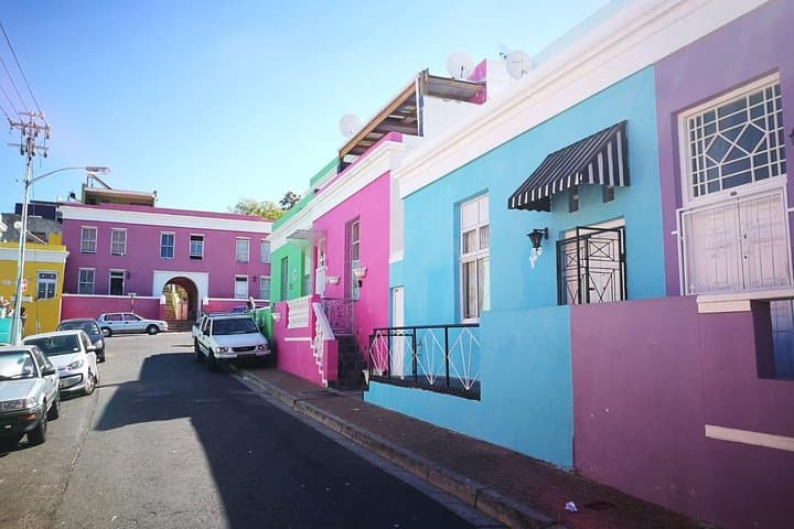 Cape Town Marine Wildlife Cruise and City PM Combo Tour photo 4