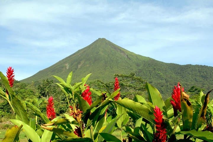 Essential 10-Day Costa Rica Self-Drive: Manuel Antonio, Arenal, Monteverde & Tortuguero photo 3