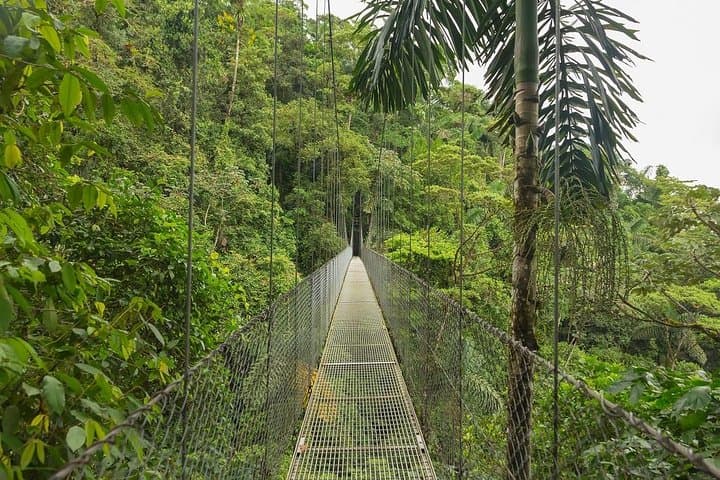 Essential 10-Day Costa Rica Self-Drive: Manuel Antonio, Arenal, Monteverde & Tortuguero
