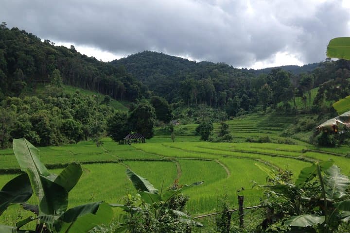 Full-Day Chiang Mai Photography Tour: Hill-Tribe Portraits & Countryside Landscapes photo 6