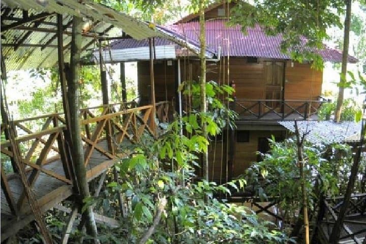 Borneo Tropical Rainforest Resort Day Tour — Lambir Hills Hike & Orchard photo 2