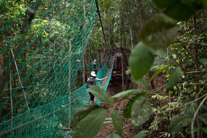 Borneo Tropical Rainforest Resort Day Tour — Lambir Hills Hike & Orchard photo 4
