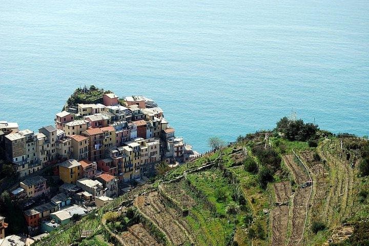 Private Cinque Terre Day Trip from Florence — Train, Boat & Coastal Lunch photo 6