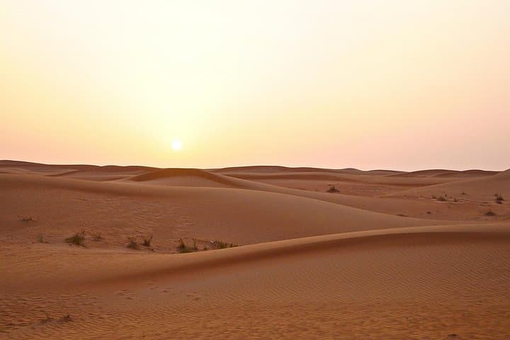 Red Dunes Desert Safari Dubai: Evening Dune Bashing, Camel Ride & BBQ Experience photo 2