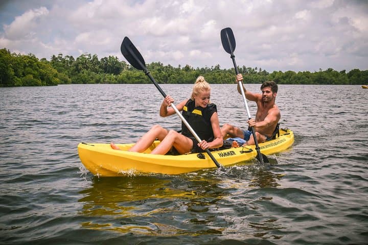 Madu River Sunrise Mangrove Kayaking Retreat — Ahungalla Sunrise Paddle photo 3